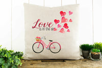 Love is in the Air Decorative Pillow