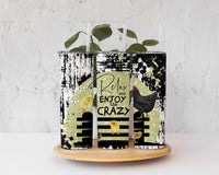 Relax and Enjoy the Crazy - Chicken 20 ounce skinny stainless steel tumbler, Custom, Gift for Him, Present for Her
